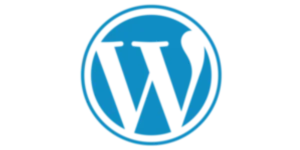 WordPress expert, best digital marketer in Fujairah